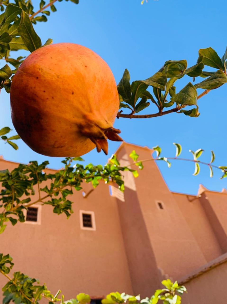 La Perle De Saghro Otel Nkob Dış mekan fotoğraf